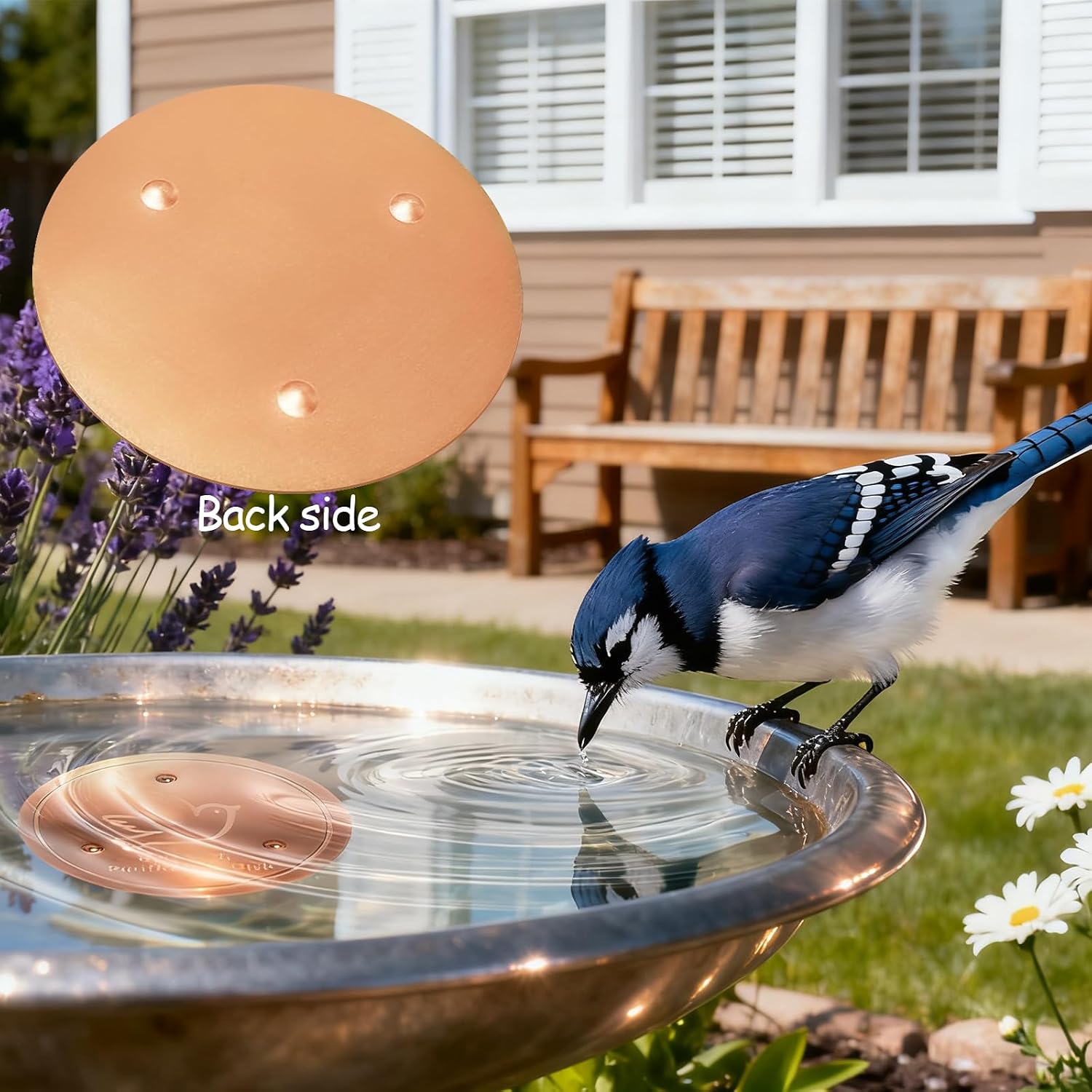 Bird Bath Copper Disk, 99.9% Pure Copper Bird Purification Disk | Bath Cleaning with Triple-Point Support for Physical Safe Clean Water, Fit for Outdoor Birdbath&Bowl (1-Pack)