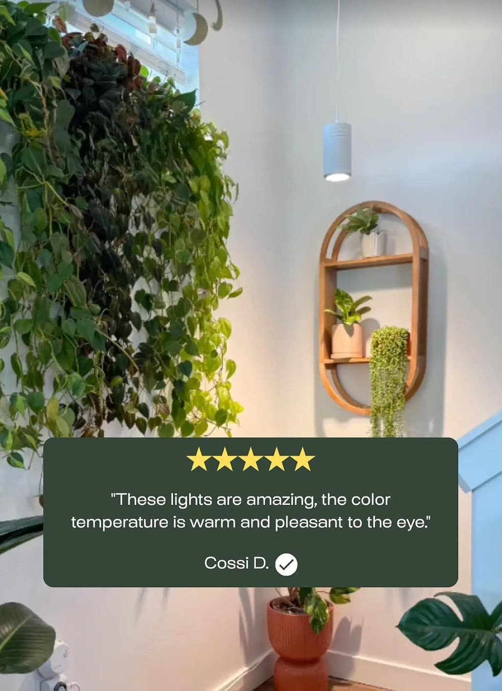 Aspect Soltech Gen 2 – World’s First Decor Grow Light | White High-Output LED Pendant Grow Light for Indoor Plants | Warm White, Natural Light | Dimmable