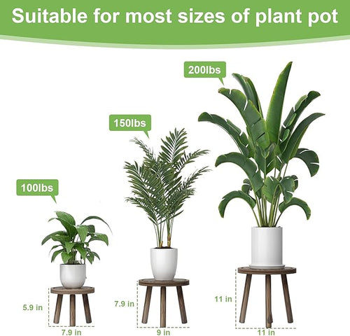 3-Pack Wood Plant Stands Indoor, Single Plant Stand for 6-12 Inch Pots, Mid-Century Modern Plant Stool, Tall Plant Stand for Large Plants Perfect Fit for Living Room, Balcony, Office