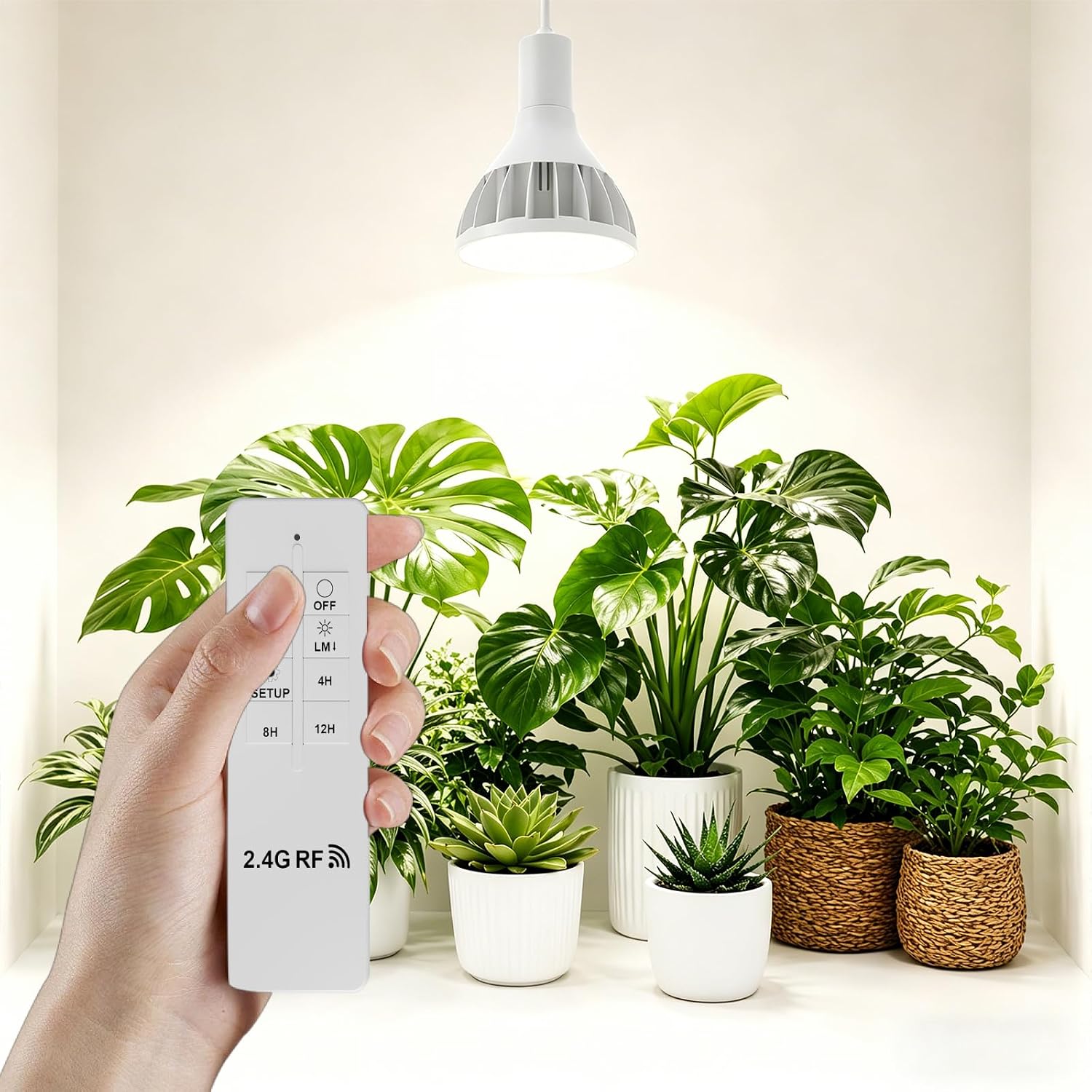 RDJ Bouns 26W LED Grow Light Bulb with Remote, PAR38, E26 Base | Dimmable, Full Spectrum Plant Bulb, Timer, Auto On/Off 4/8/12H, Natural White, For Indoor Plants, Succulents, Seeds