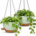 12 inch self‑watering hanging planters plant pots, green‑brown, main product view