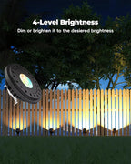 RGB PAR36 LED Light Bulb Color Changing, Warm White+15 Colors Choices on Remote Control, 12V Low Voltage Spotlight for Outdoor Landscape Lighting, Garden,Yard,Flagpole Lighting