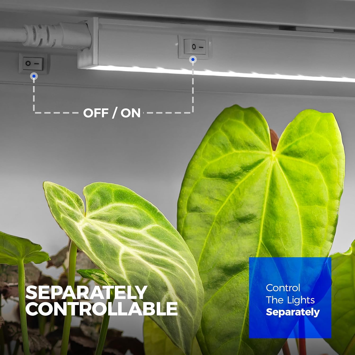 Barrina T5 Grow Lights for Indoor Plants, 5000K Full Spectrum, 1FT, 4 Packs | 1FT LED Growing Lamp, Plant Light Strip for Seed Starting, Vegetables and Greens, Plug and Play, Linkable