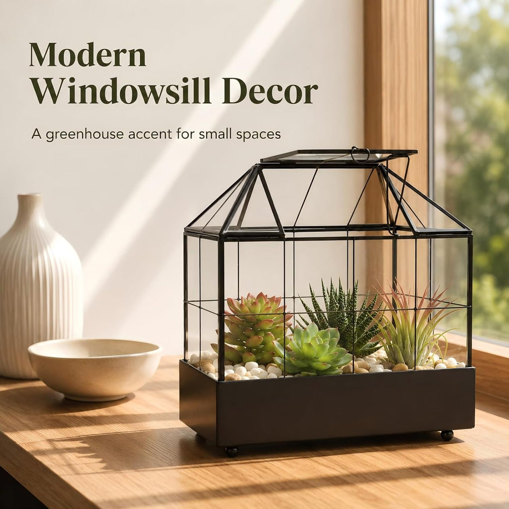large tall plant terrarium glass – glass greenhouse shown in use