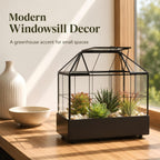 large tall plant terrarium glass – glass greenhouse shown in use