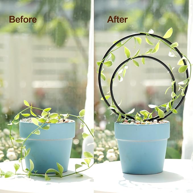 Hoya Trellis Set of 3 Round Climbing Plant Supports - Small, Medium, Large - Sturdy Metal for Indoor & Outdoor Potted Plants - Easy Tool-Free Assembly - Great Choice for Plant Enthusiasts