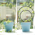 Hoya Trellis Set of 3 Round Climbing Plant Supports - Small, Medium, Large - Sturdy Metal for Indoor & Outdoor Potted Plants - Easy Tool-Free Assembly - Great Choice for Plant Enthusiasts