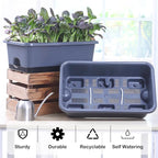 Window Box Planter 6 Pcs, 18 Inches Rectangle Flower Pots with Drainage Holes and Trays, Vegetable Planters for Windowsill Patio Garden Balcony Home Porch Yard Indoor Outdoor (Grey, 18*10*6 inch)