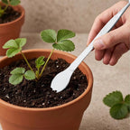 2-in-1 Bonsai Tweezers Set - 8.8" Stainless Steel Long Plant Tweezers with Rake & Spatula Tips, Straight + Curved Tools for Bonsai, Succulents & Terrariums