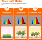 bstrip 3-tier indoor greenhouse with grow light, 35.4x13.8x59in on a desk or shelf