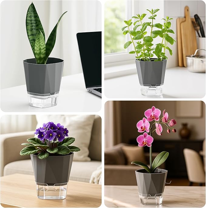 6 Pack Self Watering Plant Pots 8.4" Self Watering Planters for Indoor and Outdoor Plants African Violet Self Watering Clear Pots for Plants Large Herb Orchid Flower Houseplant Pots, Dark Grey