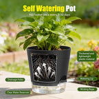 Plant Pots 4 Inch Self Watering Pots,6 Pack Plastic Planters with Drainage Holes and Clear Saucers,Plastic Flower Pots,Nursery Planting Pot for Indoor Out Door Plants (Black, 4 inch)