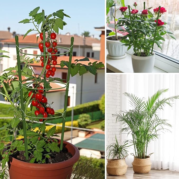 8 Pack Tomato Cage for Garden Plant Support, 18 inches Small Tomato Cages Tomato Trellis with Adjustable Rings, Plant Stakes for Peony Support, Tomato Stakes Rings for Climbing Plants