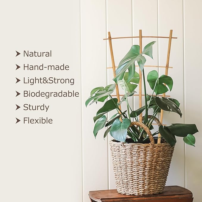 Plant Trellis Indoor, 3 Pack Bamboo Trellises, 16in Fan-Shaped Trellis for Potted Plants Climbing Plants Hoya Vine Ivy