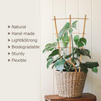 Plant Trellis Indoor, 3 Pack Bamboo Trellises, 16in Fan-Shaped Trellis for Potted Plants Climbing Plants Hoya Vine Ivy