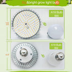 Lonwon Grow Light Bulb, Plant Light Bulb, E26 Grow Bulb Full Spectrum | LED Grow Lights for Indoor Plants, 30W Plant Lights for Indoor Growing and Regular Lamp, 4000K Warm, PAR 38 Bulb, 1-Pack