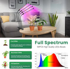 Grow Lights for Indoor Plants, Full Spectrum with Clip, 4 Head | 6000K Plant Light, Timer 6/12/16Hrs, 3 Spectrums, 5 Dimmable Levels, Flexible Gooseneck