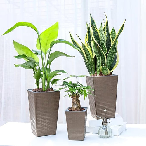 2 Pack Self Watering Planters 10.7" x 6.9" Planter for Indoor Plants Self Watering Violet Pots Plastic Flower Pots Square Planter with a Bag of Clay Pebbles, Bronze