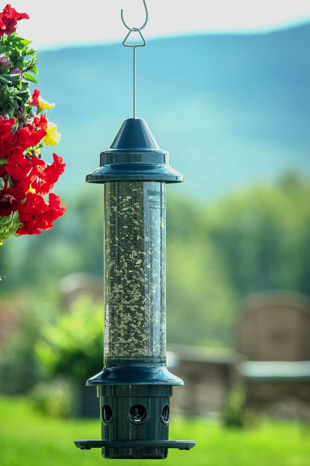 squirrel buster plus squirrel-proof bird feeder w/cardinal ring, close-up detail