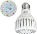 LED Grow Light Bulb E26, 5000K Full Spectrum Plant Light Bulb for Indoor Plants, 18W (Equivalent to 150W), High Output for Faster Growth