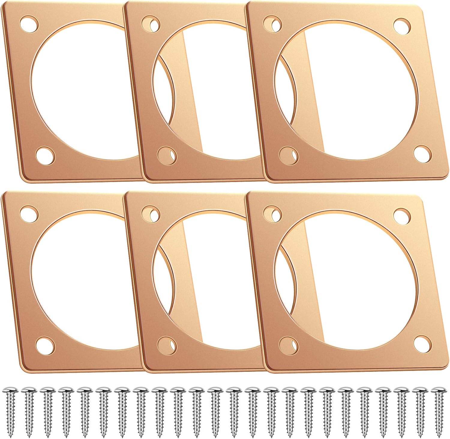 Hotop 6 Pcs Metal Bird House Guards 1 1/2 Inch Opening Bird House Entry Copper Portal Predator Hole Protector for Eastern Bluebird Houses