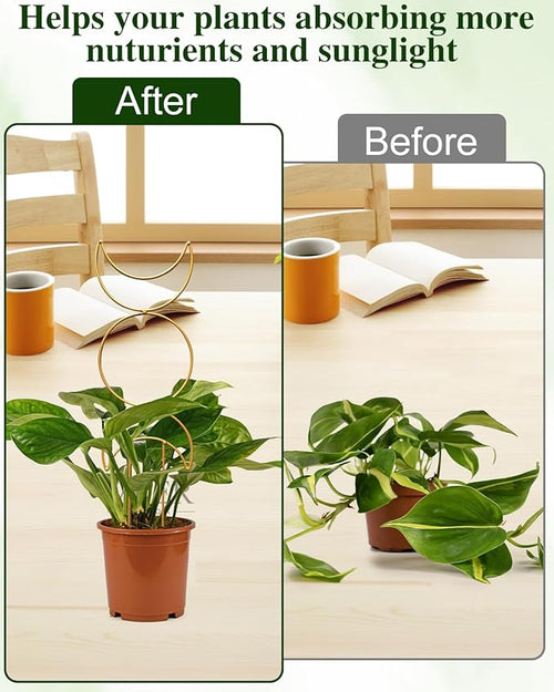 4 Pack Trellis for Climbing Plant Indoor, Small Metal Garden Trellis for Potted Plants Outdoor, Stake Mini Houseplant Trellis Support for Hoya, Vines, Pothos, Monstera (Gold)