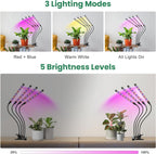 Grow Lights for Indoor Plants, Full Spectrum with Clip, 4 Head | 6000K Plant Light, Timer 6/12/16Hrs, 3 Spectrums, 5 Dimmable Levels, Flexible Gooseneck