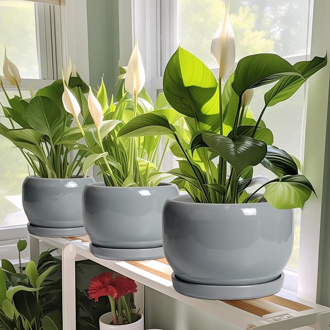 SQOWL 6 Inch Plant Pots - Ceramic Planter with Drainage Hole and Saucer, Round Ceramic Flower Pot Indoor Outdoor, Modern Succulent Planter, Bathroom Decor, Gifts for Plant Lovers, Grey