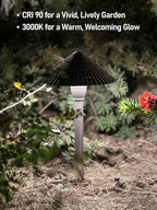 LEONLITE 12-Pack LED Low Voltage Landscape Lights, 3W Cast-Aluminum 12-24V Pathway Light, 5000K Daylight Waterproof Path Lights, ETL Listed Landscape Lighting Wired for Yard Lawn, Bronze