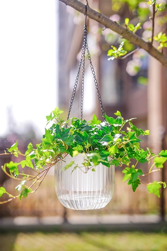 Melphoe 2 Pack Self Watering Hanging Planters Indoor Flower Pots, 6.5 Inch Outdoor Hanging Plant Pot Basket, Plant Hanger with 3Hooks Drainage Holes for Garden Home
