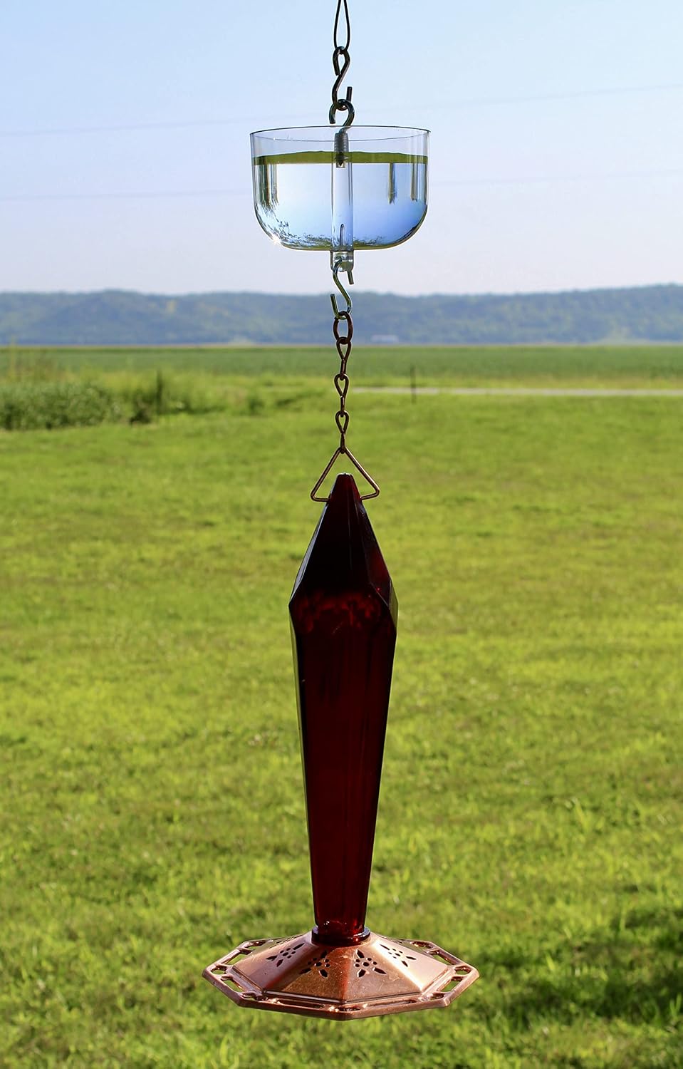 Nectar Protector Junior Bird Feeder Protection - Clear | See-Through Bowl Shows Water Level at a Glance - Compact Ant Moat Hangs Between Hook and Feeder to Protect Nectar