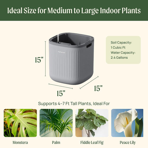 15 inch self-watering planter for indoor plants – shown in use