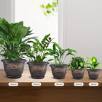 Plastic-Plant-Flower-Planters-14 Inch With Drainage Hole & Saucer, 3 Packs Lightweight Large Resin Flower Pot Indoor Outdoor, Retro Antique Imitation Decorative Garden Containers Sets For Houseplants