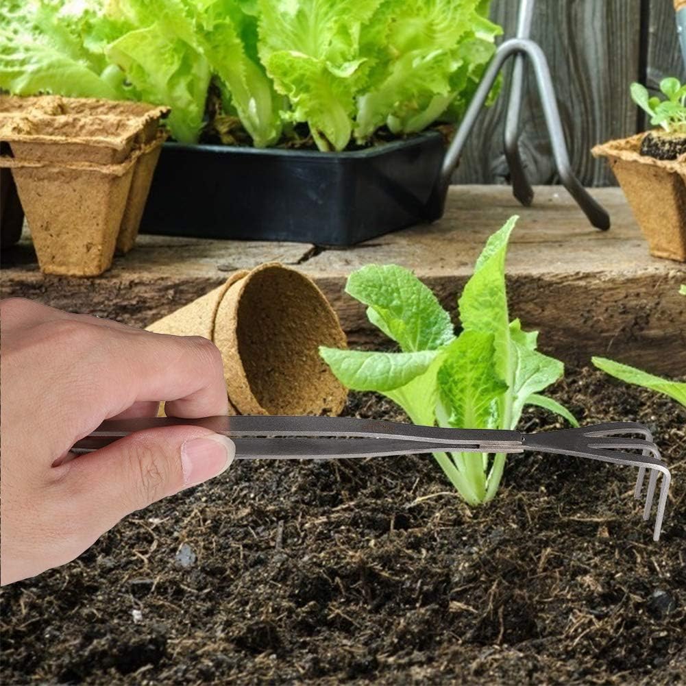 2 in 1 Bonsai Tweezers with Root Rake, 8.3 inch Stainless Steel Gardening Tongs for Plant Care, Repotting, and Precision Weeding, Anti-Slip Grip Tool for Beginners and Enthusiasts