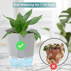 3 Pack Self Watering Planter Pots, 4.9 Inch African Violet Pots for Indoor Outdoor Windowsill Gardens, Plant Pot with Wick Rope and Reservoir