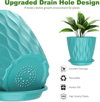 6 Pack 6 Inch Indoor Plant Pots with Drainage Holes, Outdoor Plastic Decorative Flower Pots, Garden Planters with Tray Saucers for Orchids, Violets, Succulents, Herbs, and Other Plants