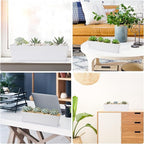 GREANER Long Window Boxes Planters, 6 Pack 16x3.8 Inch Vegetable Box Pot with Tray, Indoor Succulent Cactus Flowers Plastic Rectangle Pot for Balcony, Office, Garden, Outdoor, Windowsill - White