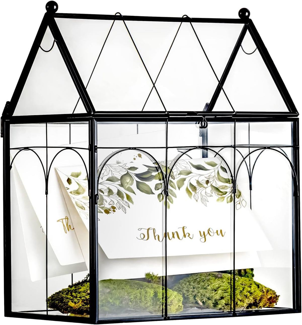 ncyp glass terrarium with lid for cacti, moss, main product view