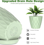 6 Pack 7 Inch Indoor Plant Pots with Drainage Holes, Outdoor Plastic Decorative Flower Pots, Garden Planters with Tray Saucers for Orchids, Violets, Succulents, Herbs, and Other Plants
