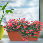 8pcs Window Box Planter,17 Inches Flower Window Boxes, Rectangle Planters Box with Drainage Holes and Trays, Plastic Vegetable Planters for Windowsill Patio Garden Home Decor Porch Yard (Red)