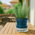 D'vine Dev 6 Inch Design Self Watering Planter for Indoor Plants, Blue Terracotta Pot with Cylinder Glass Cup, Set of 2, 37-Y-B-4