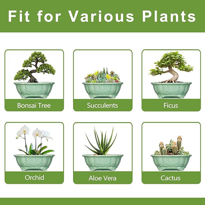 Bonsai Tree Pot - 13.2 Inch Large Ceramic Succulent Planter for Indoor Outdoor, Oval Plant Pot with Drainage Hole, Decorative Flower Pots, Home Decor, Gifts for Plant Lovers, Green