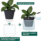 D'vine Dev 10 Inch Design Self Watering Planter for Indoor Plants, Black Terracotta Pot with Cylinder Glass Cup, 37-X-D-3