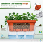 OurWarm 3 Pack Self Watering Herb Planter Set for Windowsill, 10.5In Indoor Herb Garden Planters with Water Level Indicator, Dual Layer Easy Care Pot for Basil, Flowers, Vegetables & Succulent