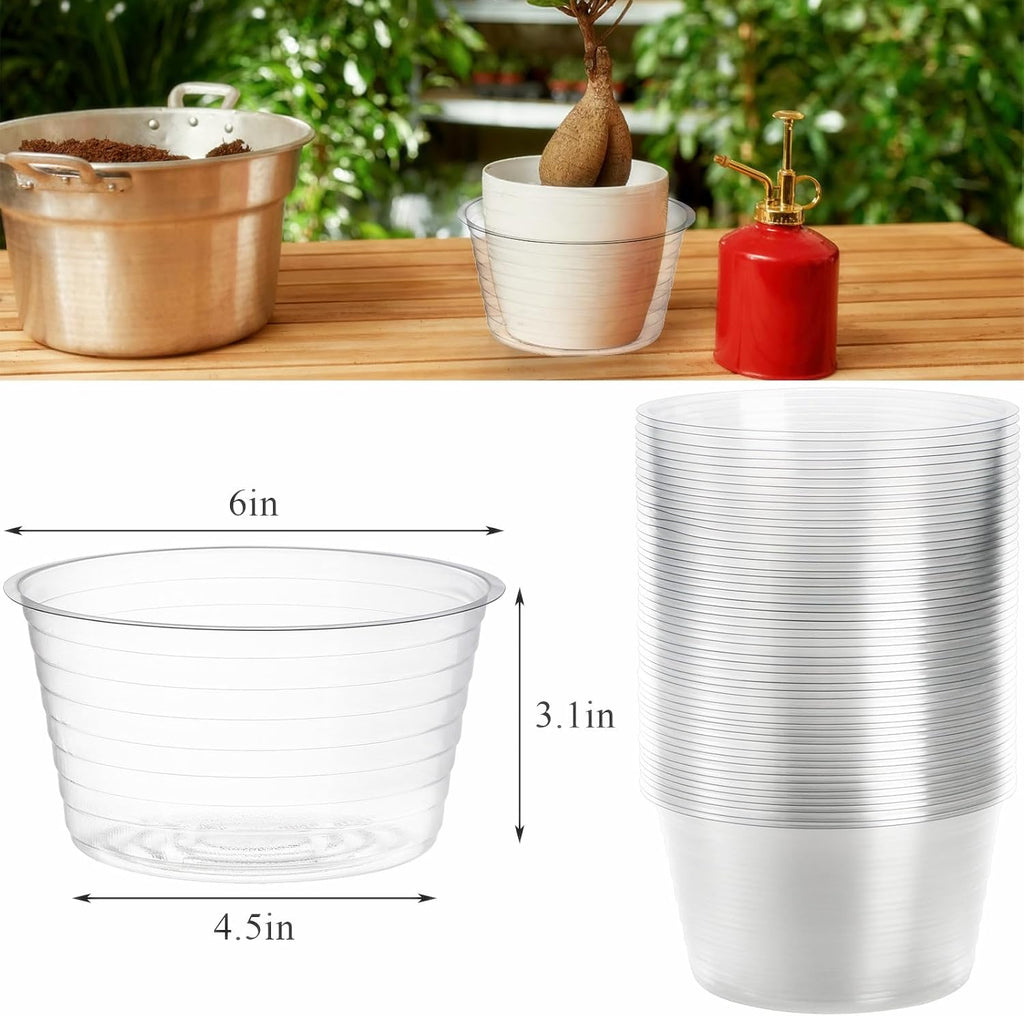 Tebery 50 Pack Clear Plastic Plant Saucer Drip Tray for Pots, 6 Inch Deep Flower Pot Saucers Water Catcher Tray Watering Trays for Plants Indoors and Outdoor