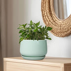 G EPGardening Ceramic Pots for Plants - 9 Inch Ceramic Planter with Drainage and Saucer, Round Planter for Indoor Outdoor Plants, Modern Flower Pots, Garden Decor, Birthday Gifts, Green