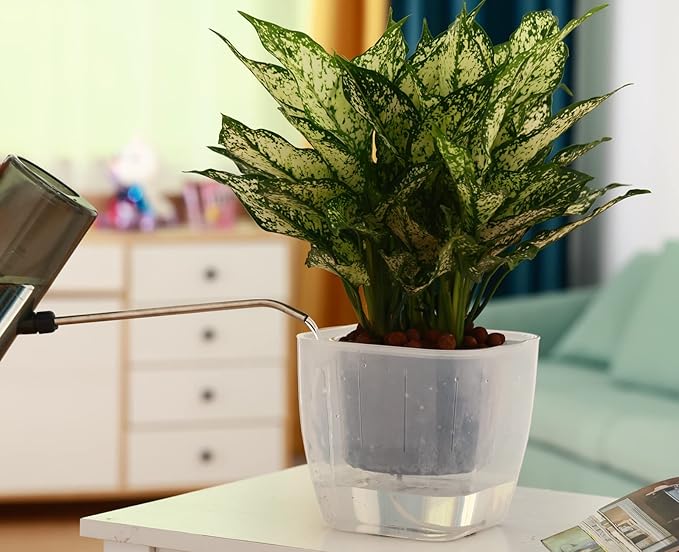 6-Pack 7 Inches Clear Self Watering Planters for Indoor Plants Large African Violet Plant Pots Plastic Wick Flower Pots with Water Injection Hole, Orchid Plant Pot Set, Clear