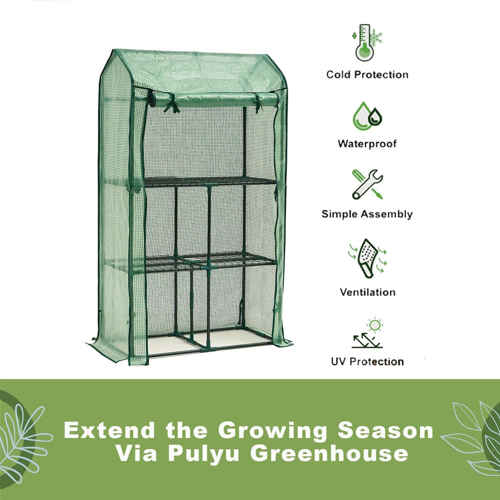 purlyu mini greenhouse for indoor outdoor, small plastic showing dimensions
