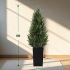 5ft artificial cedar topiary trees 2 pack, tall showing dimensions
