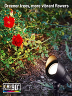LEONLITE 5CCT Low Voltage LED Landscape Spotlight, Update 1800K2700K3000K4000K5000K Selectable, 5W 12V Pathway Lights Outdoor, CRI90, Aluminum Spot Lights for Garden, ETL, IP65 Waterproof, Pack of 4